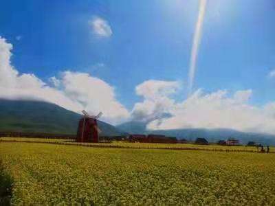 尼康d5专业数码单反值得入手？详细曝光质量如何？